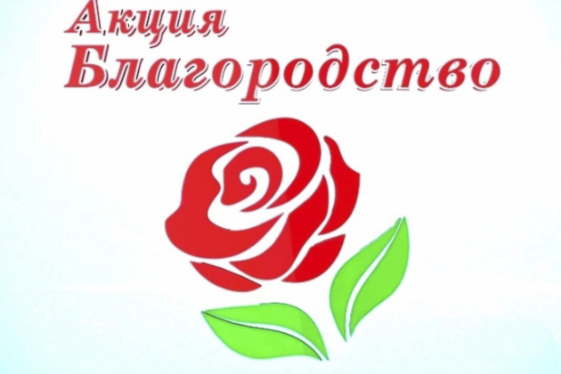 Акция «Благородство»: творим добро вместе!